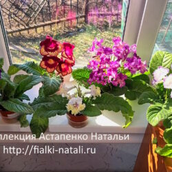 1.. Информация.