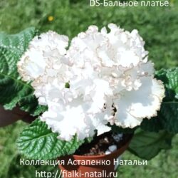 DS-Бальное платье (Диметрис)