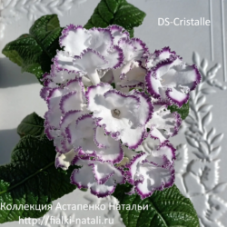 DS-Cristalle (Dimetris)